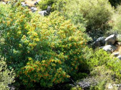 Sierra de Gredos; Barco Ávila; senderismo equipamiento senderos naturales senderos y cascadas grupos